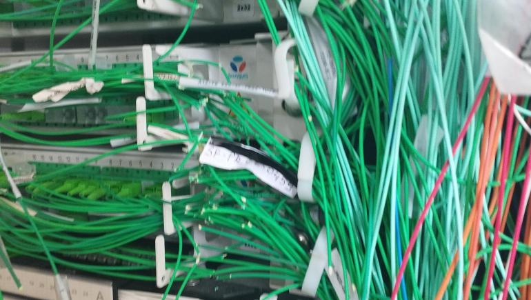 Câbles sectionnés dans un local fibre à Bois-le-Roi 01